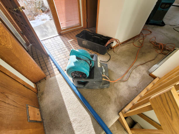 Best Local water damage restoration  in Woodbranch, TX