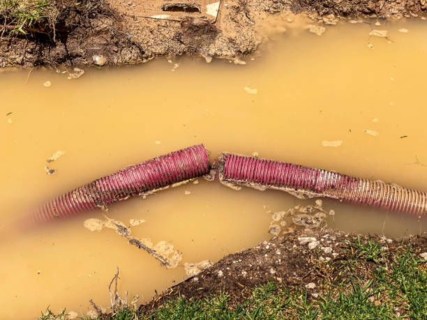 Best Water damage restoration near me  in Woodbranch, TX